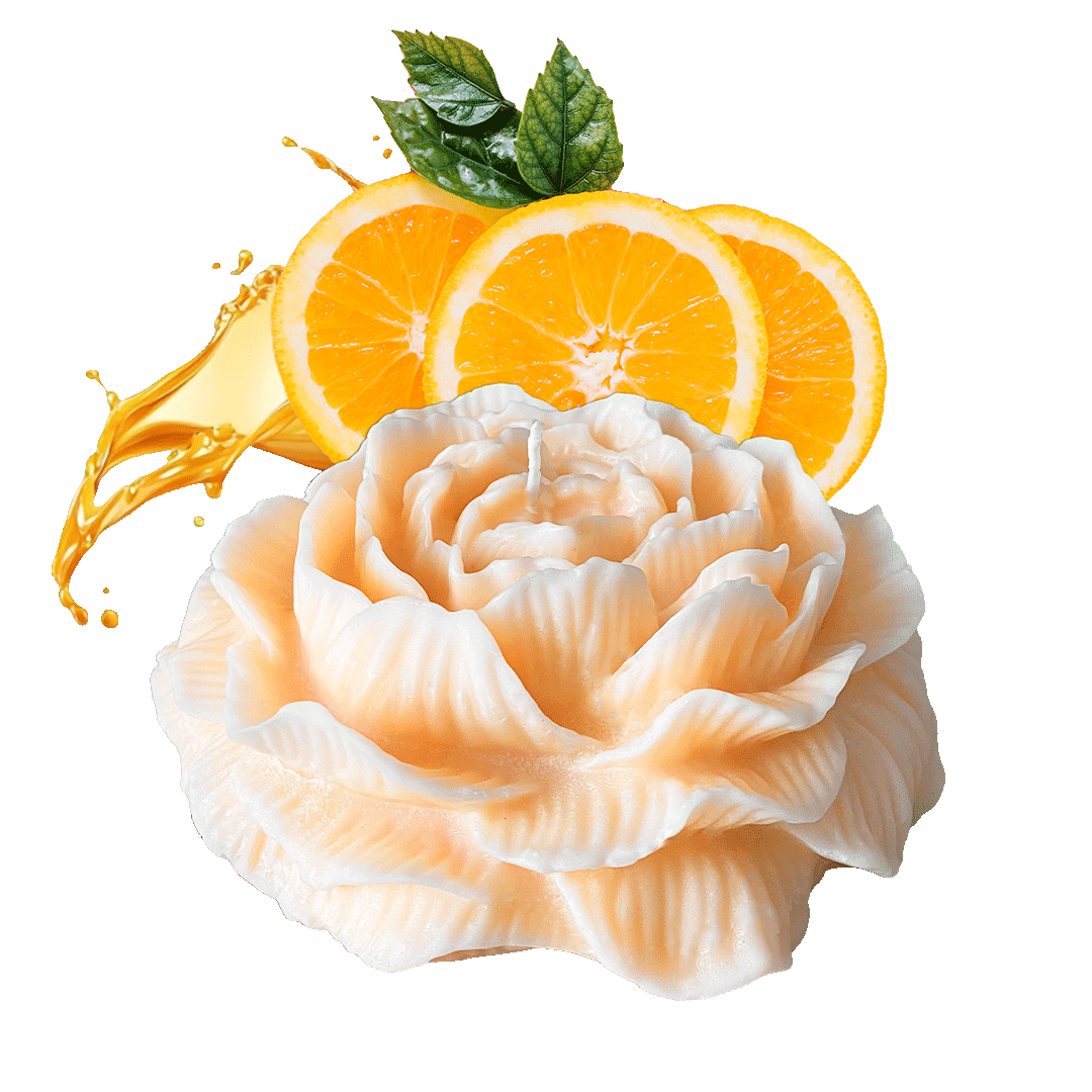 ORANGE-ROSENKERZE