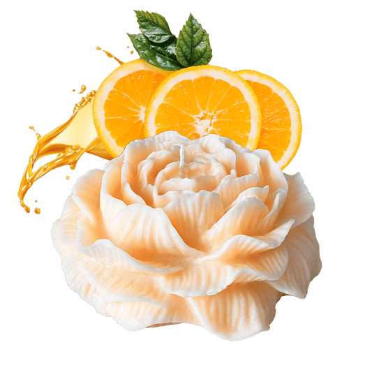 ORANGE-ROSENKERZE