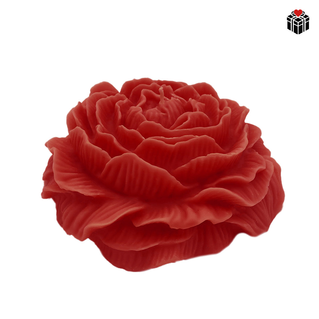 WASSERMELONEN-ROSENKERZE