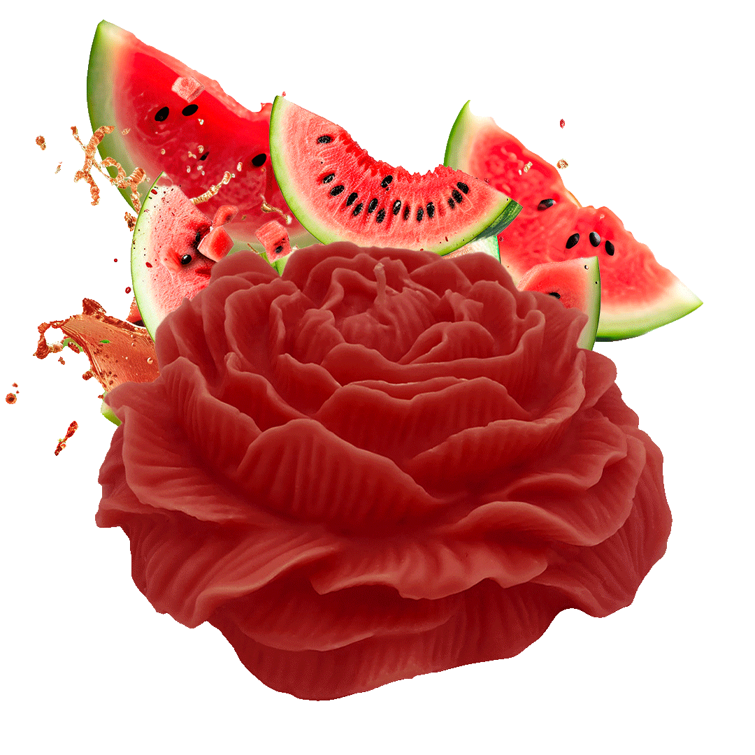WASSERMELONEN-ROSENKERZE