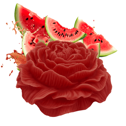 WASSERMELONEN-ROSENKERZE