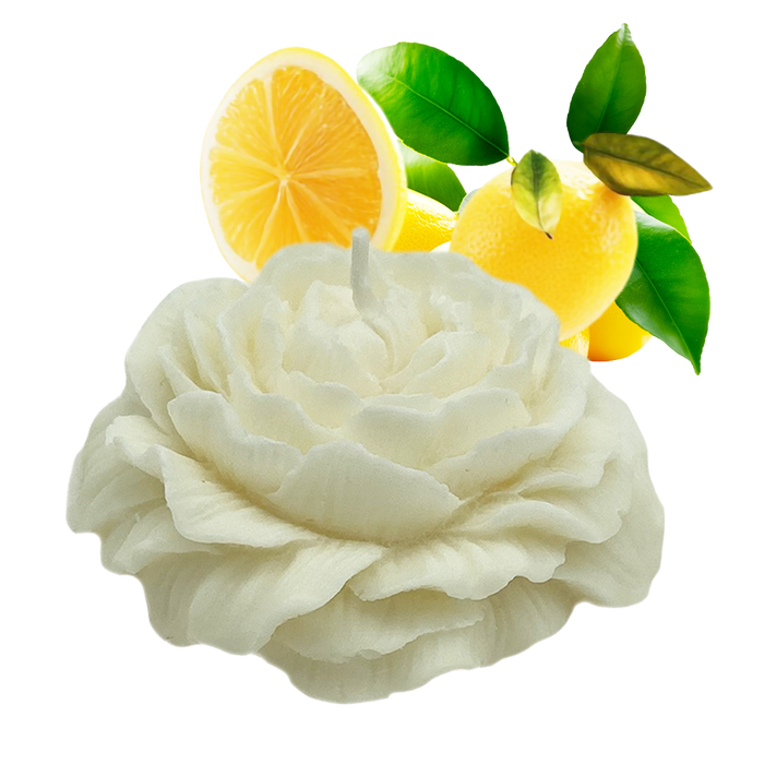 ZITRONEN-ROSENKERZE+UNTERSETZER
