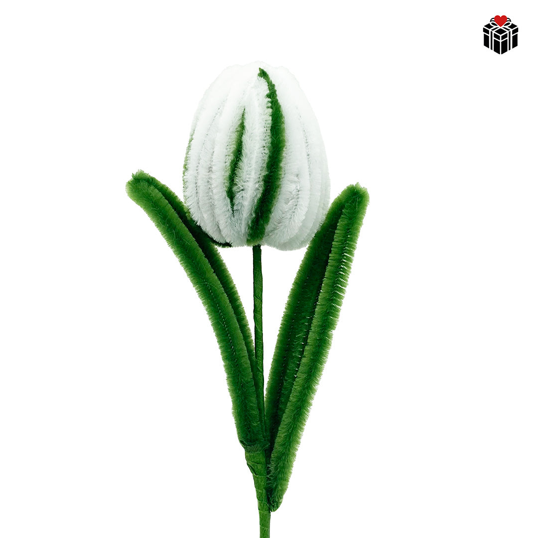 WEICHE TULPE